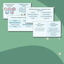 Презентация по биологии 