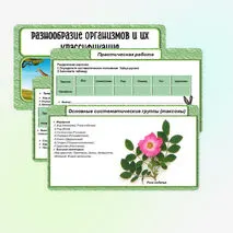Презентация по биологии в 5 классе «Разнообразие организмов и их классификация. Практическая работа: «Ознакомление с принципами систематики организмов».