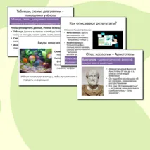 Презентация Описание результатов исследований 5 класс