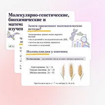 Презентация 
