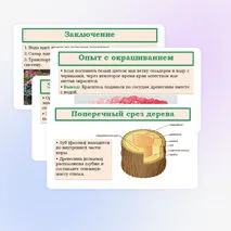 Презентация «Транспорт веществ в растении» 6 класс