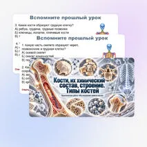 Презентация по биологии (9 класс) 