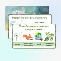 Презентация «Распространение плодов и семян в природе», 6 класс