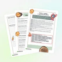 Виды и свойства конструкционных материалов. Древесина. Практическая работа «Изучение свойств древесины» 5 класс