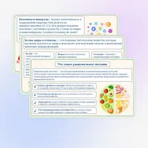 Основы рационального питания. Пищевая ценность овощей. Технологии обработки овощей
