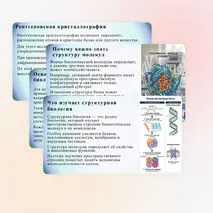 Презентация «Методы структурной биологии» (углубленный уровень)