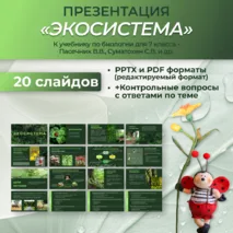 Презентация «Экосистема» к учебнику по биологии для 7 класса- Пасечник В.В., Суматохин С.В. и др.