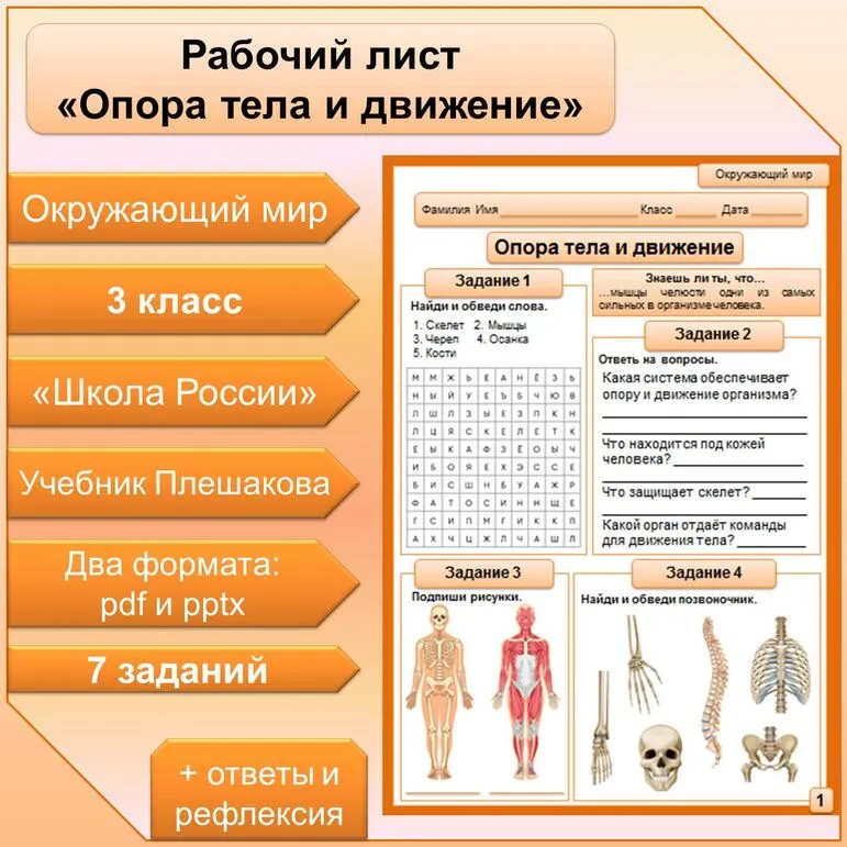 Рабочий лист по теме 