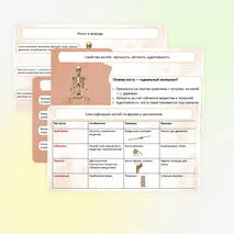 Презентация 