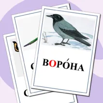 Картинный словарь по русскому языку для 1 класса