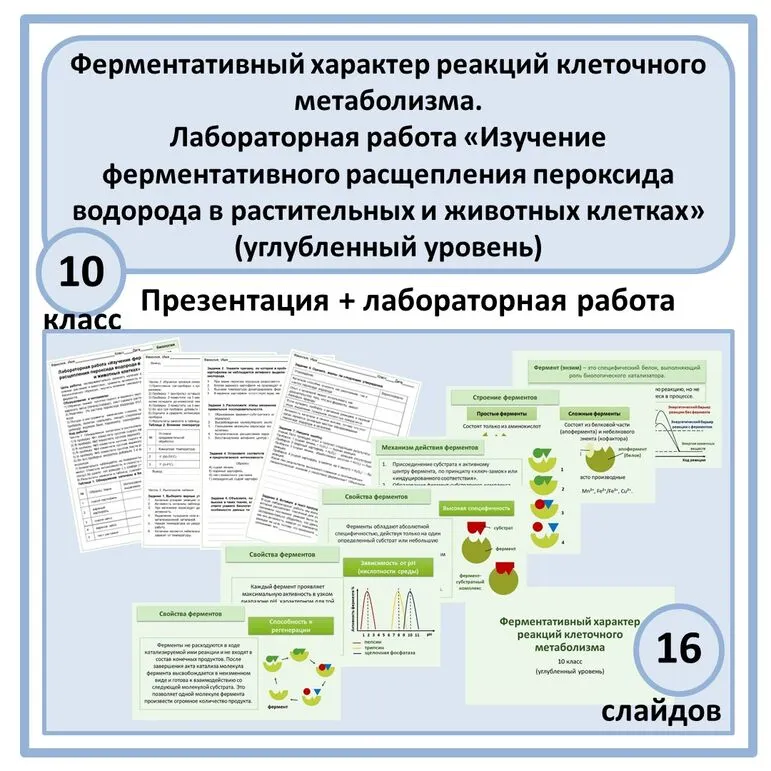 Комплект по биологии (презентация + лаб. работа) «Ферментативный характер реакций клеточного метаболизма. Лабораторная работа «Изучение ферментативного расщепления пероксида водорода в растительных и животных клетках» 10 класс (углубленный уровень)