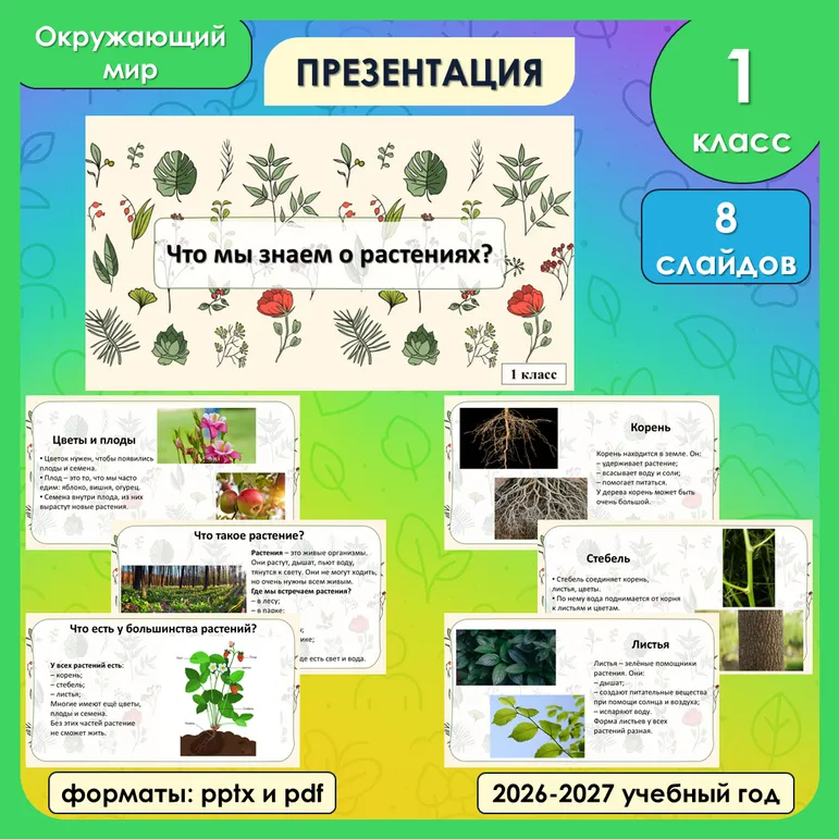 Презентация «Что мы знаем о растениях? Что общего у разных растений?» по окружающему миру, 1 класс