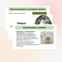 Презентация по биологии «Общая характеристика грибов» 7 класс