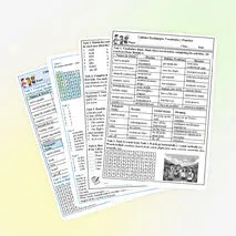 Culture Exchanges. Vocabulary Worksheet (лексические упражнения к учебнику Spotlight 8, Module 6)