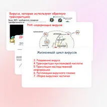 Презентация по биологии 