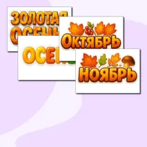 Оформление 