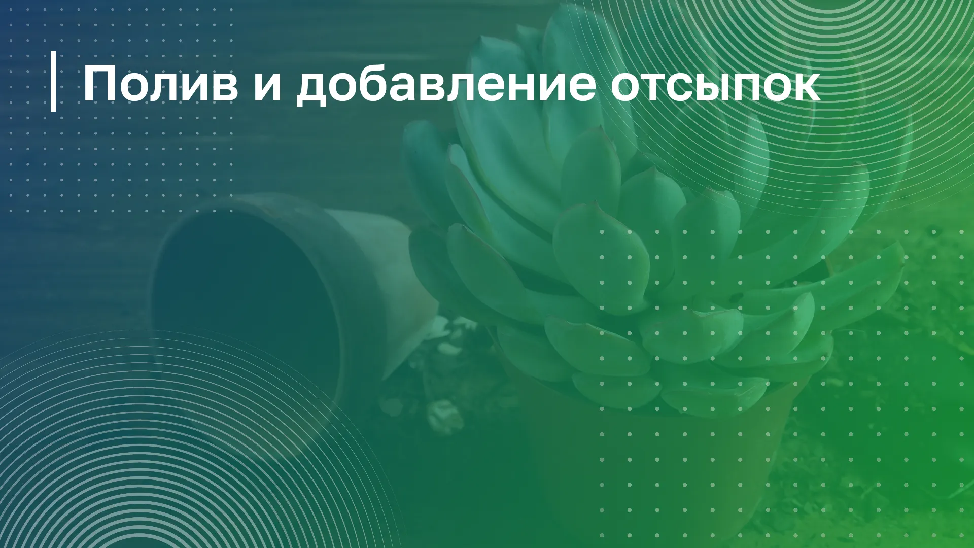 Обложка курса