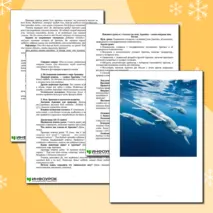 Конспект урока в 1–4 классе на тему: Арктика – самая северная зона России
