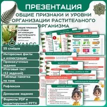 Презентация 