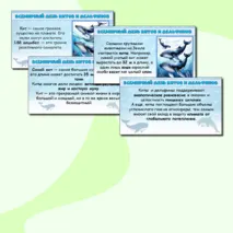Всемирный день китов и дельфинов. Презентация.