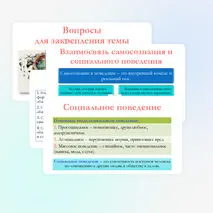 Презентация по обществознанию для 10 класса на тему: Общественное и индивидуальное сознание. Самосознание и социальное поведение.
