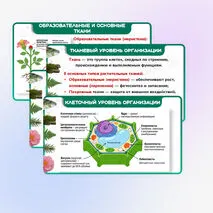 Презентация 