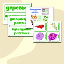 Дидактическая игра 