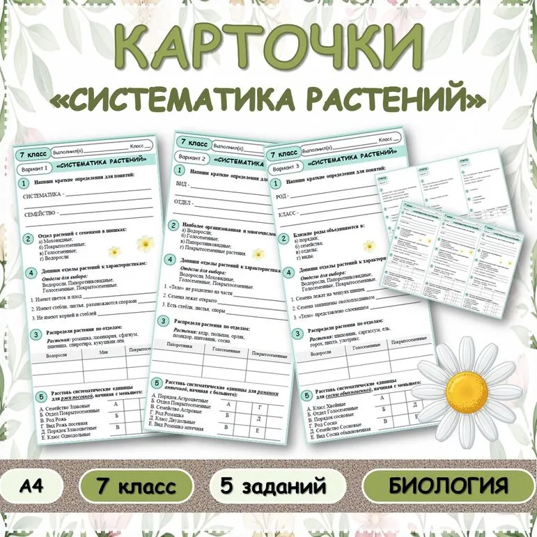Карточки «Систематика растений»