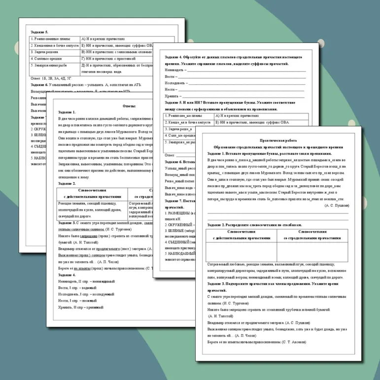 Практическая работа по русскому языку 