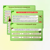 Презентация по ОБЗР по теме: «Правила безопасного поведения в природной среде». 9 класс.