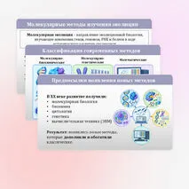 Презентация «Молекулярно-генетические, биохимические и математические методы изучения эволюции» 11 класс (углубленный уровень)