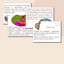 День бабочек