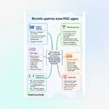 Схема «Желілік адаптер және MAC адрес»