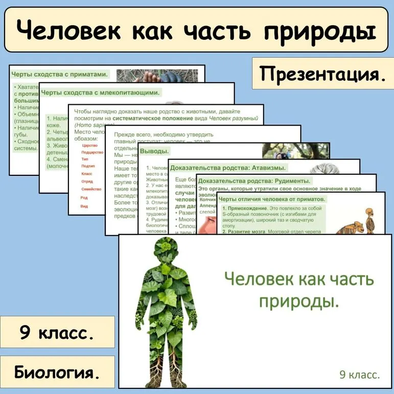 Презентация 