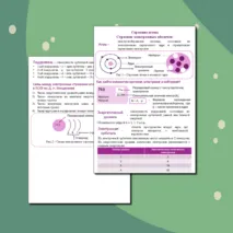 Памятка по химии на тему: «Строение атома. Строение электронных оболочек». Подготовка к ОГЭ по химии