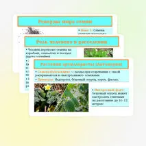 Презентация «Распространение плодов и семян в природе» 6 класс