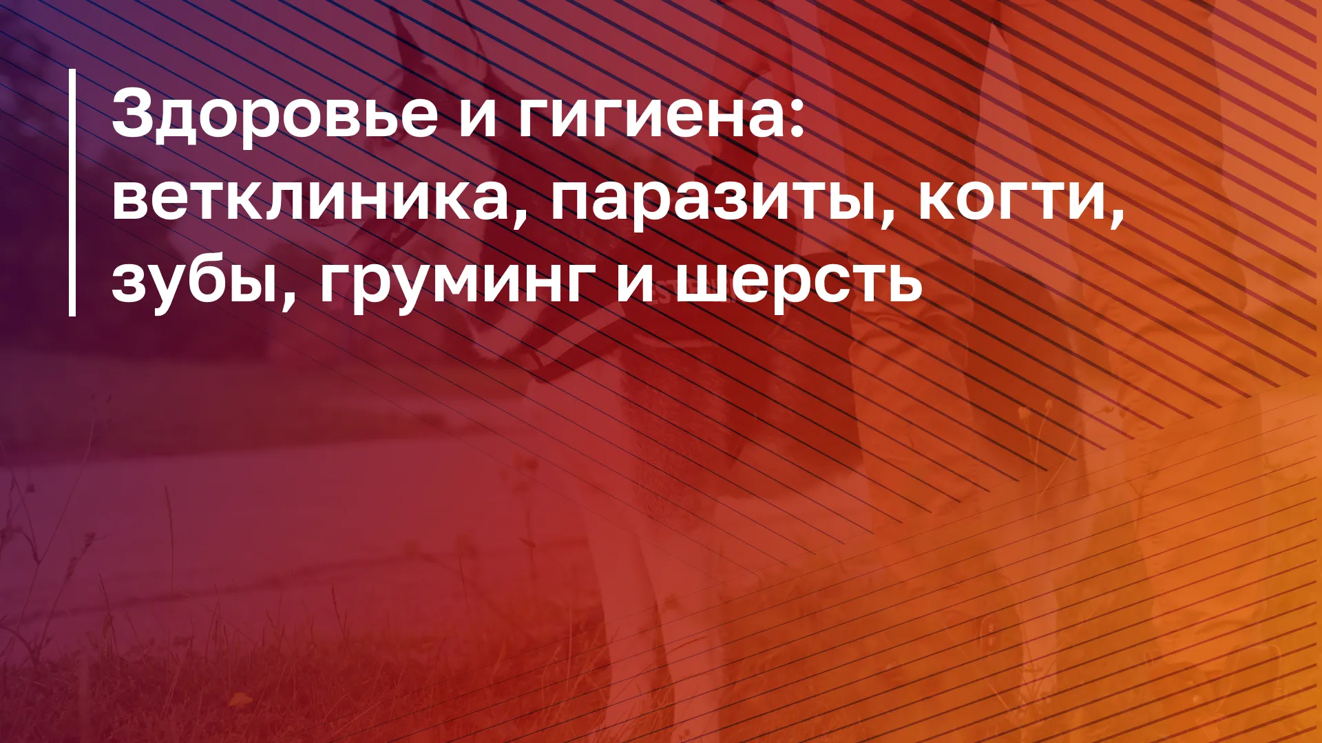 Обложка курса