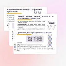 Презентация 
