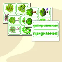 Дидактическая игра 