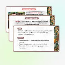 Презентация 