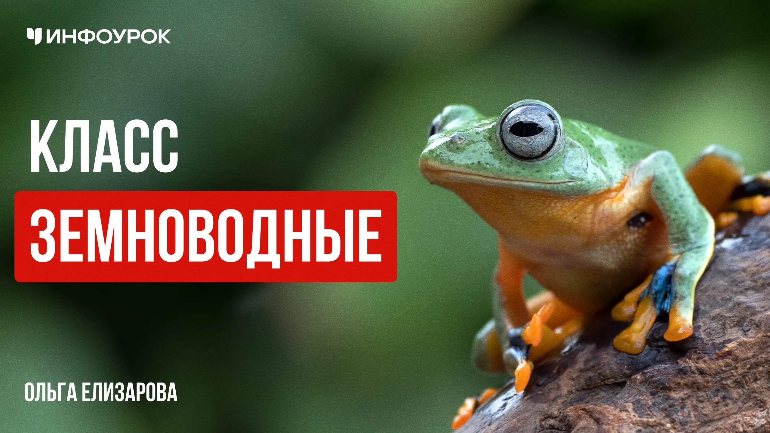 Обложка курса