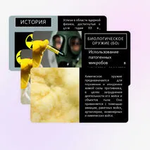Презентация по ОБЗР 