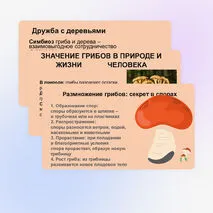 Презентация 