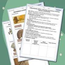 Комплект по биологии (рабочий лист + лабораторная работа) 