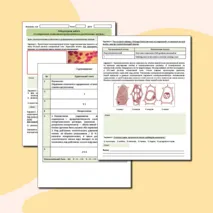 Лабораторная работа «Исследование плазмолиза и деплазмолиза в растительных клетках» (профильный уровень)