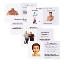 Комплект по биологии 
