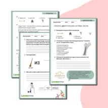 Проверочная работа 9 класс по биологии (ОДС. Кости. Введение)