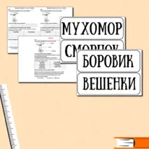 Проверочная работа. Окружающий мир 