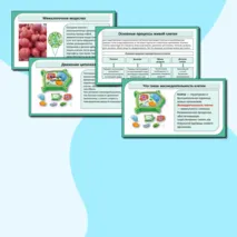 Презентация «Жизнедеятельность клетки». Биология 6 класс