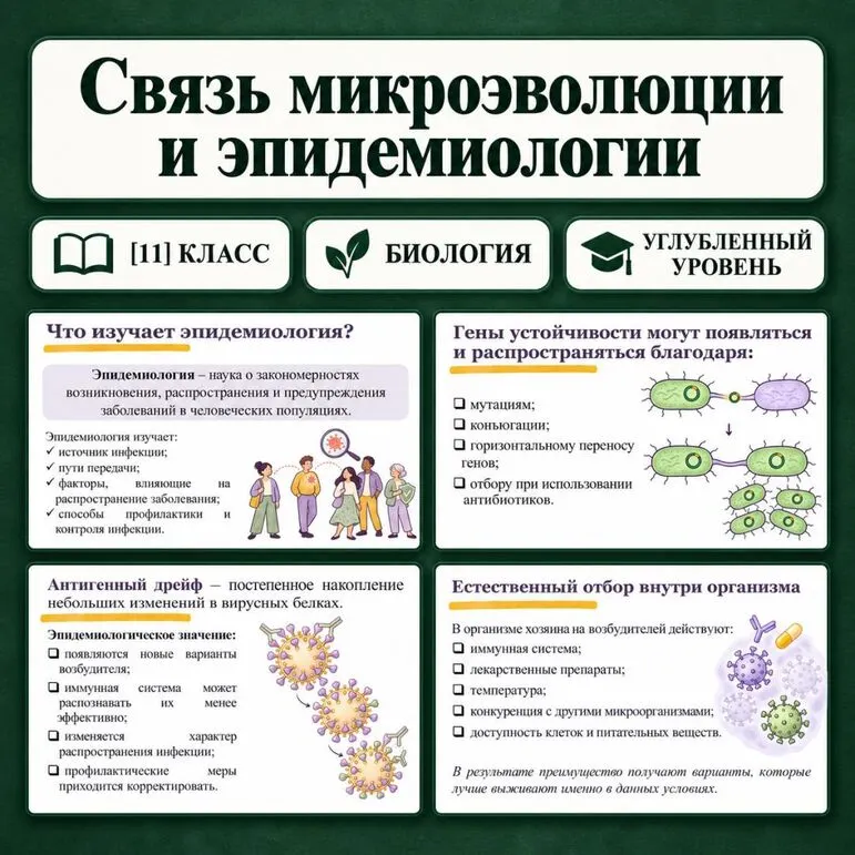 Презентация по биологии 